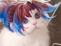 王者荣耀孙悟空猫咪头像