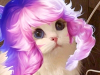 王者荣耀瑶云中君猫咪情头