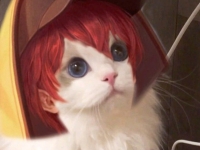 王者荣耀时之恋人猫咪头像