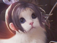 王者荣耀不知火舞猫咪头像