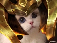 王者荣耀女娲猫咪头像