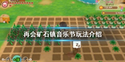 牧场物语重聚矿石镇音乐节玩法 音乐节玩法奖励一览