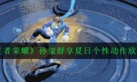 《王者荣耀》孙策舒享夏日个性动作欣赏