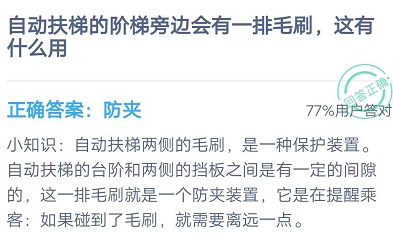 自动扶梯的阶梯旁边会有一排毛刷这有什么用？