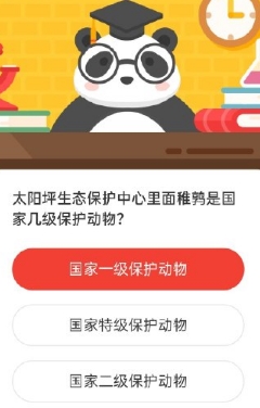 森林驿站太阳坪生态保护中心里面稚鹑是国家几级保护动物？
