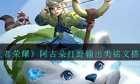 《王者荣耀》阿古朵打野输出类铭文搭配攻略