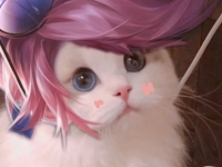 王者荣耀情侣猫咪头像
