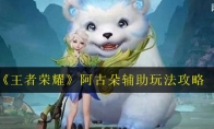 《王者荣耀》阿古朵辅助玩法攻略