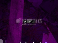 孙美琪疑案DLC19兰芝线索藤蔓在哪