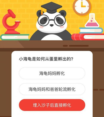 森林驿站小海龟是如何从蛋里孵出的？