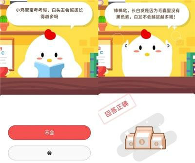 蚂蚁庄园8月12日白头发会越拔长得越多吗答案