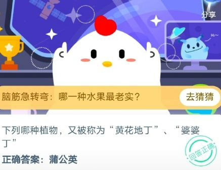 蚂蚁庄园黄花地丁和婆婆丁是哪种植物