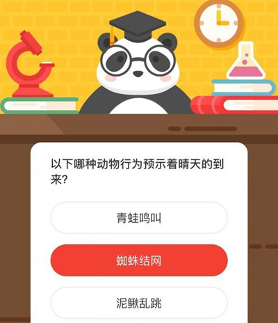 森林驿站以下哪种动物行为预示着晴天的到来？