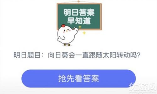 向日葵会一直跟着太阳的方向转来转去吗？