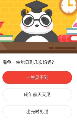 森林驿站海龟一生能见到几次妈妈？
