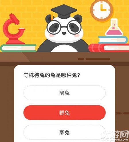 森林驿站最新答案 守株待兔的兔是哪种兔