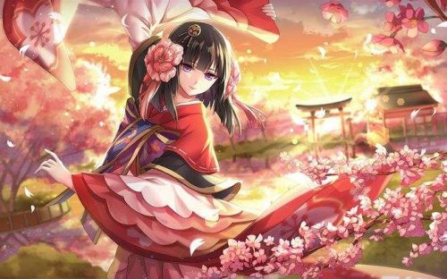 阴阳师炎夏之舞高分阵容推荐 炎夏之舞式神搭配