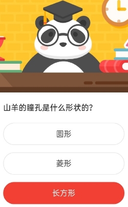 森林驿站山羊的瞳孔是什么形状的？