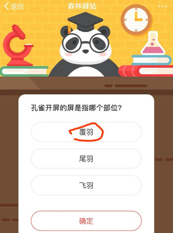 森林驿站孔雀开屏的屏是指哪个部位