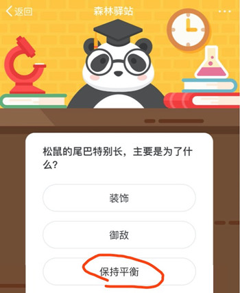 森林驿站松鼠的尾巴特别长主要是为了什么