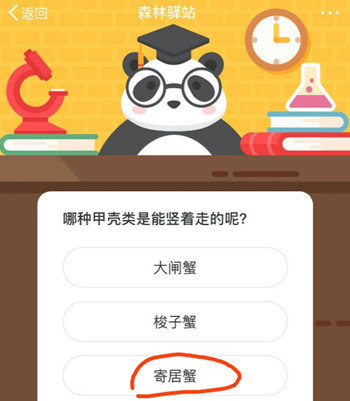 森林驿站哪种甲壳类是能竖着走的呢