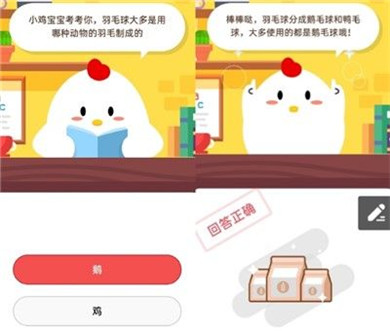 小鸡宝宝考考你羽毛球大多是用哪种动物的羽毛制成的？