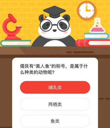 儒艮有美人鱼的称号是属于什么种类的动物呢？