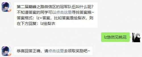 第二届巅峰之路微信区的冠军队伍叫什么呢?