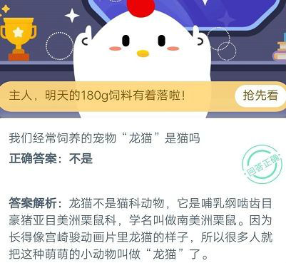 蚂蚁庄园小课堂龙猫是猫吗 问题答案介绍
