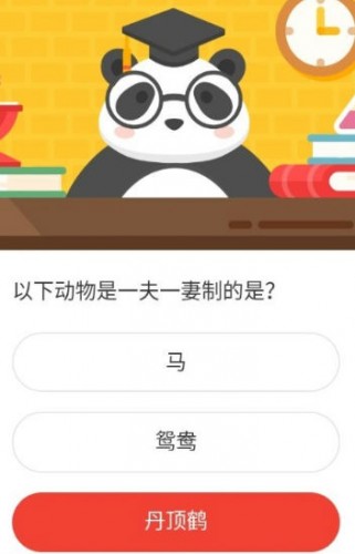 森林驿站以下动物是一夫一妻制的是?