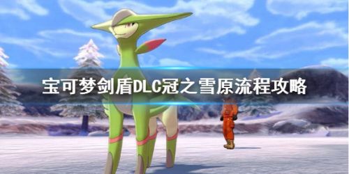 宝可梦剑盾DLC冠之雪原流程攻略 宝可梦剑盾冠之雪原怎么通关
