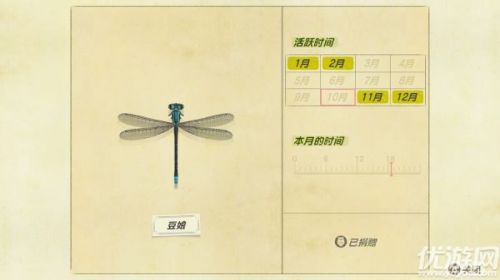 动物之森11月北半球新增昆虫汇总
