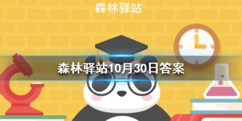 哪种动物的孕期最长 森林驿站10月30日答案
