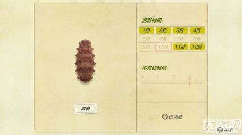 动物之森11月 最新增加海洋生物介绍