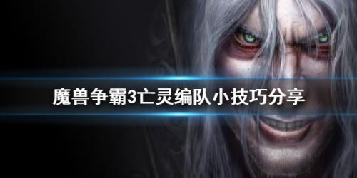 魔兽争霸3亡灵编队技巧