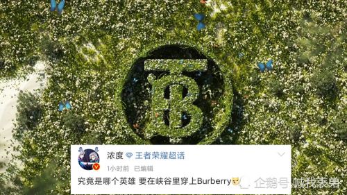 王者荣耀巴宝莉联动：新的联动皮肤将推出