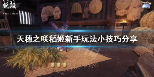 天穗之咲稻姬新手玩法小技巧分享