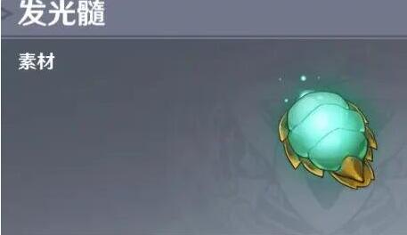 原神萤火虫位置