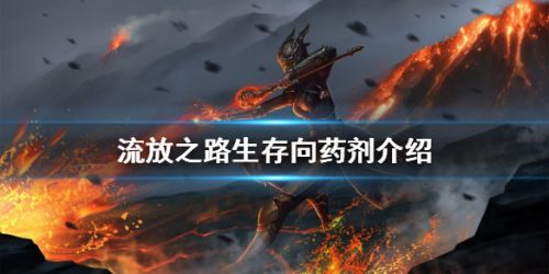 《流放之路》生存向药剂介绍