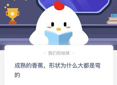蚂蚁庄园11月22日成熟的香蕉形状为什么大都是弯的