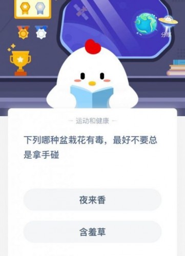 下列哪种盆栽花有毒，最好不要总是拿手碰