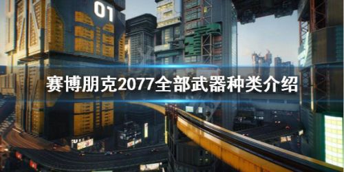 赛博朋克2077武器有哪些 赛博朋克2077全种类武器介绍