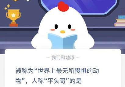 蚂蚁庄园12月8日今日答案分享 你答对了吗