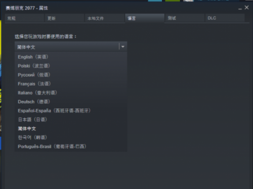 赛博朋克2077中文设置指南！中文设置教程