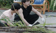 彭昱畅携梦而来！成为《梦幻西游》电脑版全新代言人！