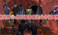 魔兽世界tbc怀旧服防战宏命令设置教程