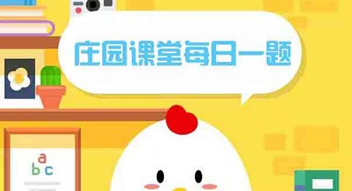 蚂蚁庄园8.11答案汇总：平时吃太咸会容易长胖吗？哪个成语用对了？